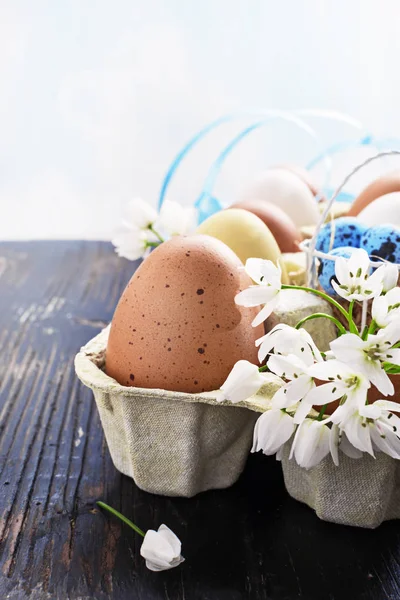 Αυγά και άνθη πασχαλιάς — Φωτογραφία Αρχείου