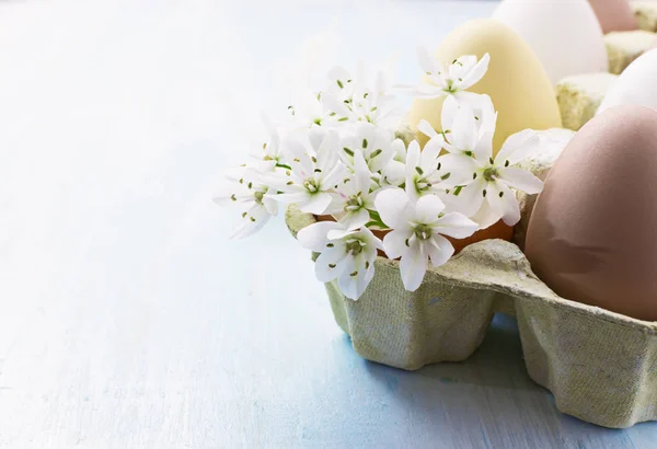 Paaseieren met lentebloemen — Stockfoto