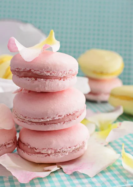 Pink macaroons with petals — Stock Photo, Image