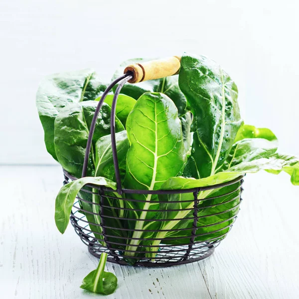 Taze pazı yaprağı 