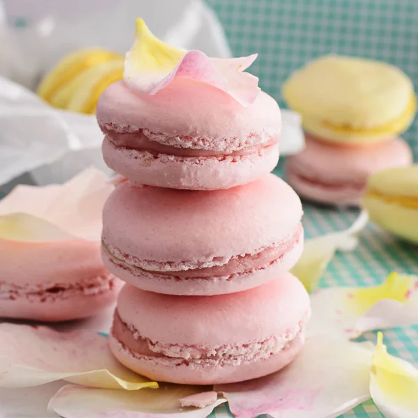 Pink macaroons with petals — Stock Photo, Image