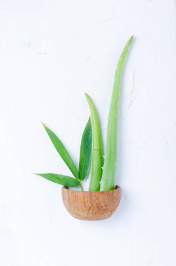 Aloe vera ve bambu. Cilt bakımı kavramı.
