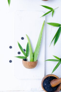 Cilt bakımı. Etkin kömür tozu ve aloe vera ile maske ve fırça malzemeleri, kopyalama alanı.