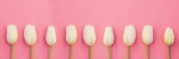 Fondo Primavera Con Flores Tulipanes Blancos Color Rosa Vista Superior —  Fotos de Stock