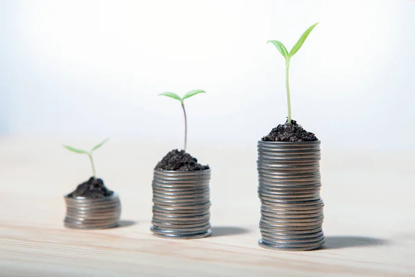 Idea money growing concept. Business success concept. Trees growing on pile of coins money