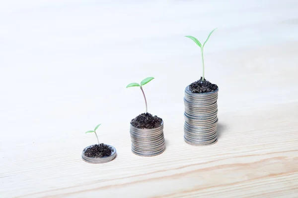 Idea money growing concept. Business success concept. Trees growing on pile of coins money