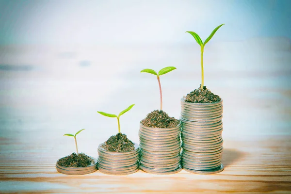 Idea money growing concept. Business success concept. Trees growing on pile of coins money