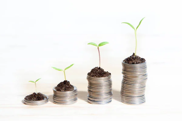 Idea money growing concept. Business success concept. Trees growing on pile of coins money