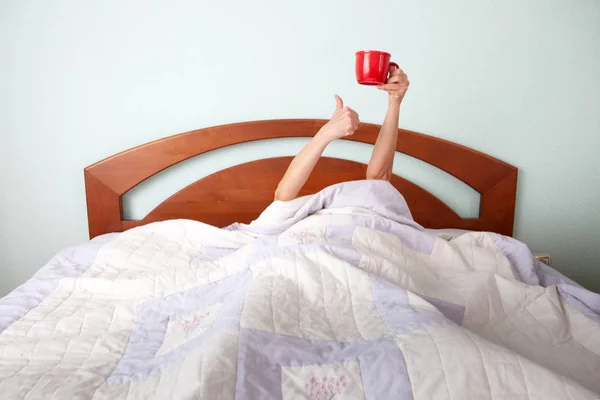 Morning Coffee Bed — Stock Photo, Image