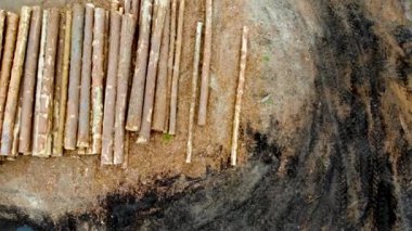 Rusya 'da küçük bir kereste fabrikasının üzerinde havadan uçuş. İnsansız hava aracı tarafından havadan ateş edildi.