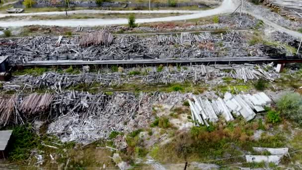 Rundflug über das alte Sägewerk. Holzarbeiten schaden der Ökologie. Per Drohne aufgenommen — Stockvideo