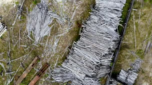 Letecký let nad starou pilou. Dřevařská práce poškozuje ekologii. Pořízeno dronem — Stock video