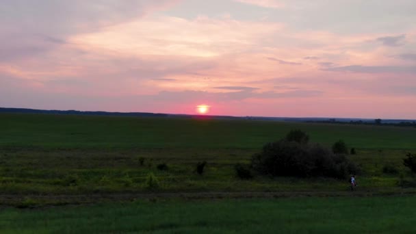 Tarladan geçen bir kır yolunda bisiklet sürmek için uçan bir hava aracı. İnsansız hava aracı tarafından çekiliyor. — Stok video