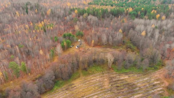 Letecký let nad odlesňováním v Rusku. Vykácený prales, zabraný dronem — Stock video