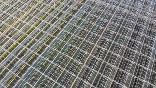 Vol aérien sur le toit de la serre. Prise de vue aérienne par drone 