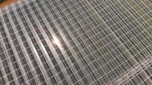Letecký let nad střechou skleníku. Letecký záběr pořízený dronem — Stock video