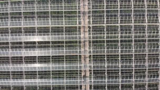 Vol aérien sur le toit de la serre. Prise de vue aérienne par drone 