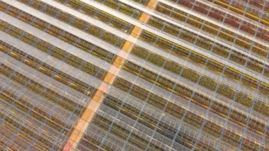 Seranın çatısında havadan uçuş. Gün batımında insansız hava aracı tarafından çekilen hava görüntüleri.