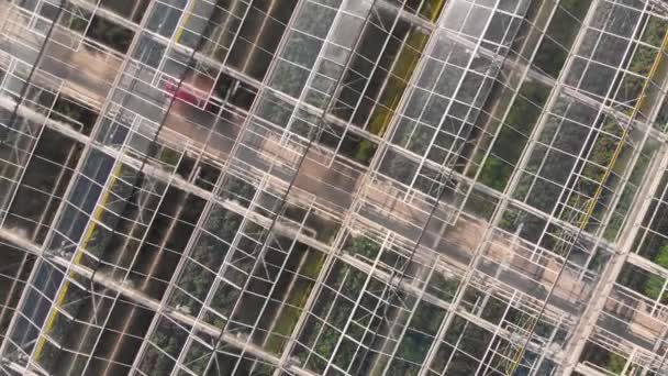 温室の屋根の上の航空便。ドローンによる空中撮影 — ストック動画