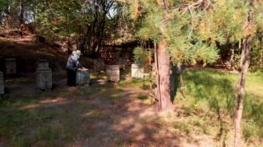 Hava uçuşu küçük bir arı kovanına bakıyor. İnsansız hava aracı tarafından havadan ateş edildi.