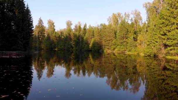 Повітряний політ над дерев'яним мостом, що стоїть на березі невеликого лісового озера — стокове відео