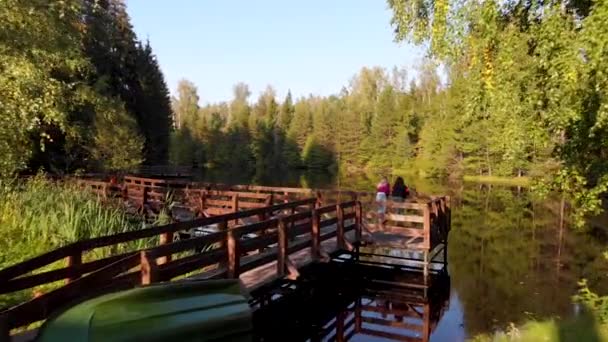 Luchtvlucht over een houten brug aan de oever van een klein bosmeertje — Stockvideo