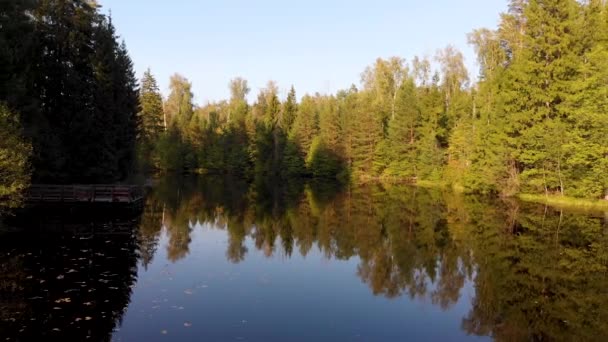 Vol aérien au-dessus d'un pont en bois debout sur le rivage d'un petit lac forestier 