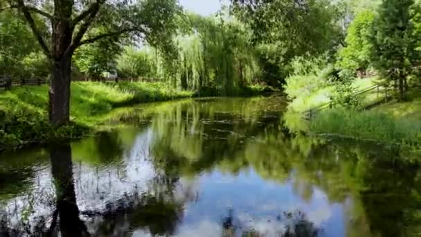 Voo aéreo sobre uma pequena lagoa cercada por verdes perfumados. Tomado por drone — Vídeo de Stock