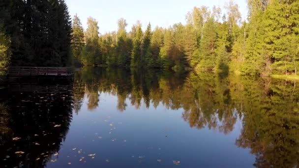 Повітряний політ над дерев'яним мостом, що стоїть на березі невеликого лісового озера — стокове відео