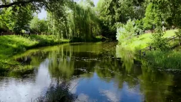 향기 로운 녹색으로 둘러싸인 작은 연못 위를 날고 있다. Taken by drone — 비디오
