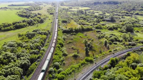 การถ่ายภาพทางอากาศของรถไฟขนส่งสินค้าที่เดินทางโดยรถไฟผ่านทางแยกทางรถไฟ — วีดีโอสต็อก