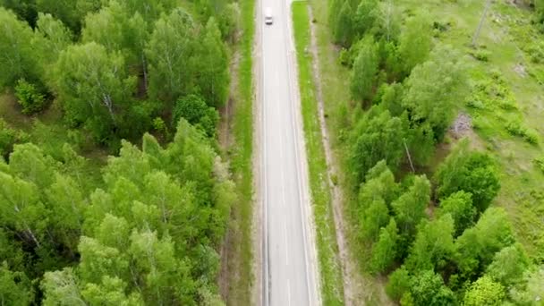 Lot dronem lotniczym nad autostradą, po której przejeżdża ciężarówka w letni dzień — Wideo stockowe