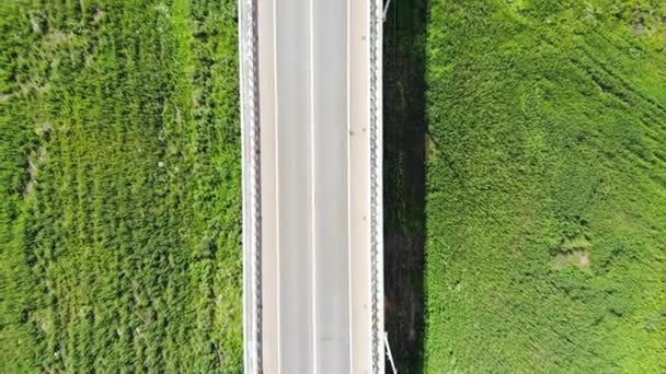 Vuelo aéreo con drones sobre el paso elevado, puente sobre el río y el ferrocarril — Vídeo de stock