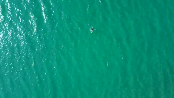 Aerial drone view of a young alone girl floating in the transparent sea — Stock Video