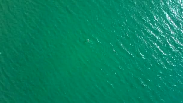Luchtfoto drone uitzicht van een jong alleen meisje drijvend in de transparante zee — Stockvideo