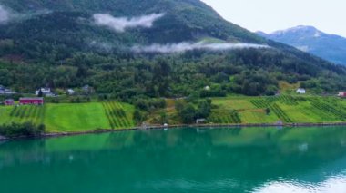 Norveç, Hardangerfjord 'un turkuaz suyu üzerinde insansız hava aracı uçuşu.