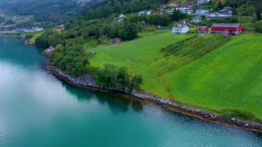 Norveç 'teki bir çiftlikte otlayan koyun sürüsü üzerinde insansız hava aracı uçuşu.
