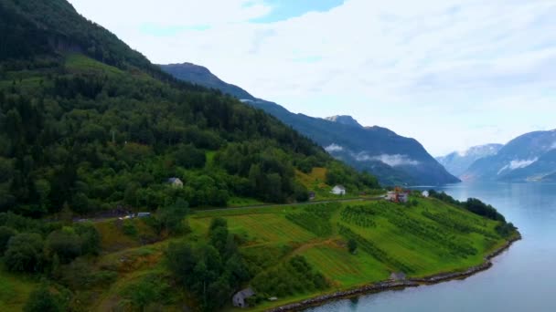 Hardangerfjord fjord shore aerial survey, Norvegia. Preso dal drone in estate — Video Stock