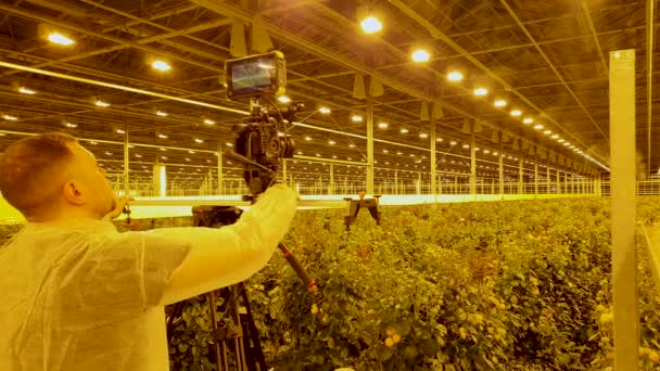 Operador irá gravar na câmera o processo de irrigação de arbustos de rosa — Vídeo de Stock