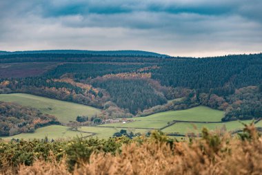 Minehead rengarenk sonbahar manzarası
