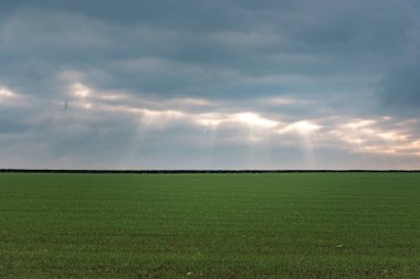 Güneş bulutların arasından tarlaların üzerinden geliyor.