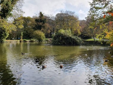 Açık bir sonbahar gününde ördek havuzu üzerinde bir manzara, Büyük Mead, Wight Adası