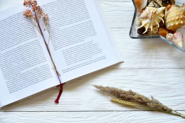 Açık bir kitap, deniz kabukları ve beyaz bir masanın üzerinde kuru çiçekler. Yaz arkaplanı.