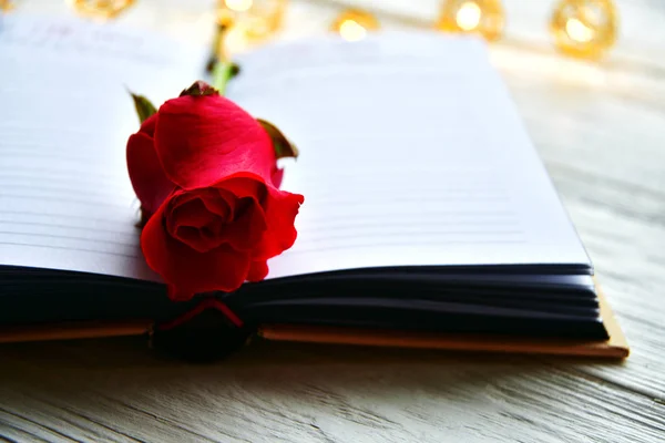 Red rose on the book spread. St. Valentine\'s Day background.