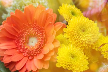 Renkli bir buketin kapağını kapat