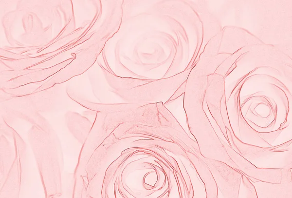 Fundo Abstrato Com Rosas Desenhadas — Fotografia de Stock