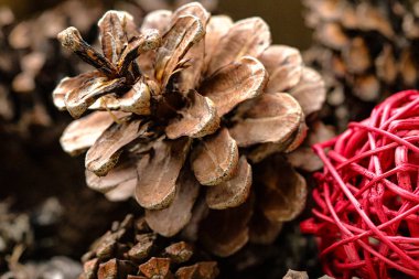 çam kozalaklarının kahverengi arkaplanı