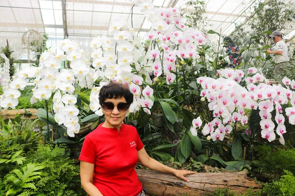 Sénior Asiático Mulher Usa Vermelho Shrit Sentado Para Relaxar Orquídea — Fotografia de Stock