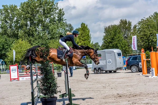 Concours hippique saut à cheval — Photo