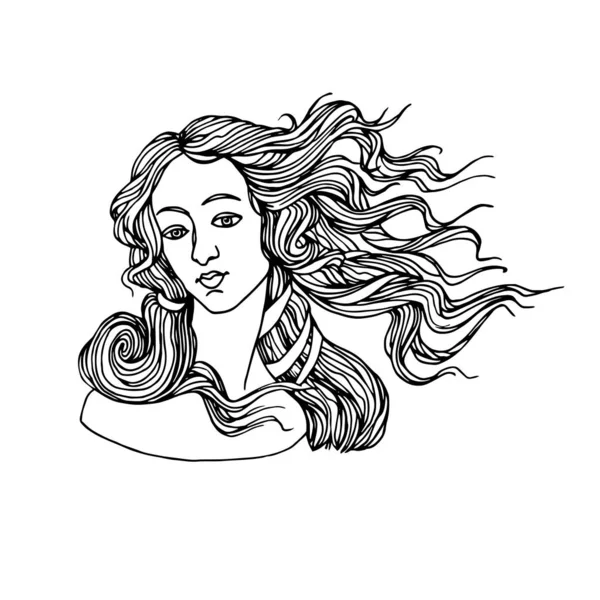 爱情女神的头像 出自维纳斯的诞生地波提切利的一幅画 作为标识 矢量图上的黑色等高线以白色背景为隔离 手绘风格 — 图库矢量图片